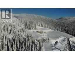 4259 Black Forest Road, Big White, BC V1P1P3 Photo 13