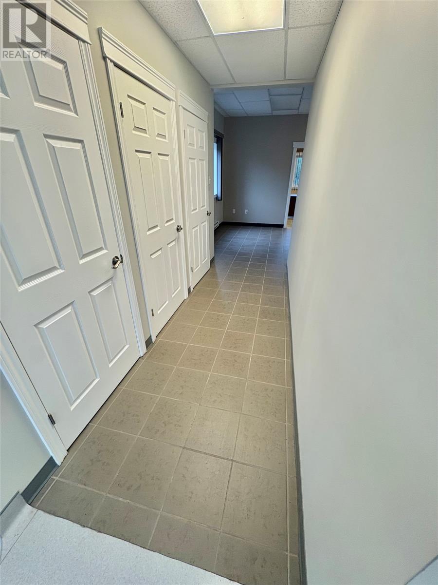 6 Dominic Street, Bishop's Falls — photo 12