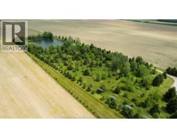 1936 Lakeshore Road 123, Woodslee, ON N0R1V0 Photo 44