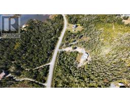 1985 Ostrea Lake Road, Ostrea Lake, NS B0J2L0 Photo 14