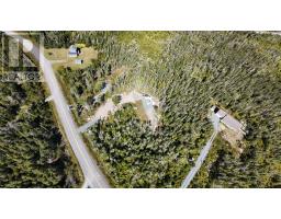 1985 Ostrea Lake Road, Ostrea Lake, NS B0J2L0 Photo 12