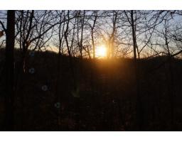 Rue Pine Tree, Grenville Sur La Rouge, QC J0V1B0 Photo 6