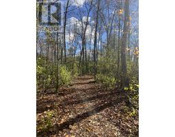 104 Cherrywood Parkway, Greater Napanee, ON K7R0B1 Photo 6
