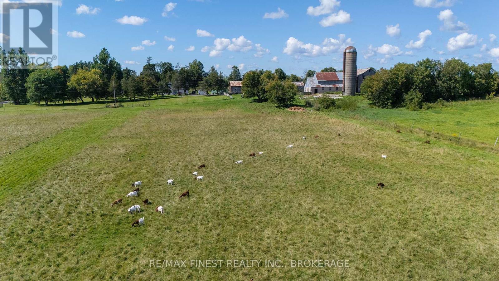 257 MCQUAY ROAD - Image 41
