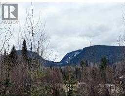 2545 Child Road, Clearwater, BC V0E3A0 Photo 43