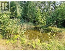 2545 Child Road, Clearwater, BC V0E3A0 Photo 39