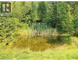 2545 Child Road, Clearwater, BC V0E3A0 Photo 40