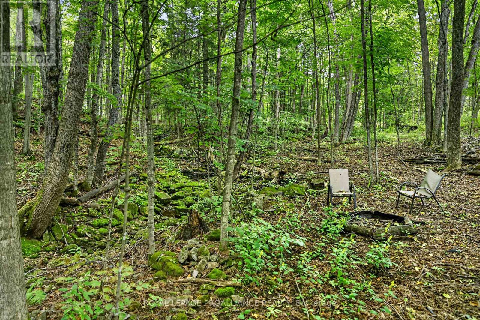 100 COONS ROAD - Image 37