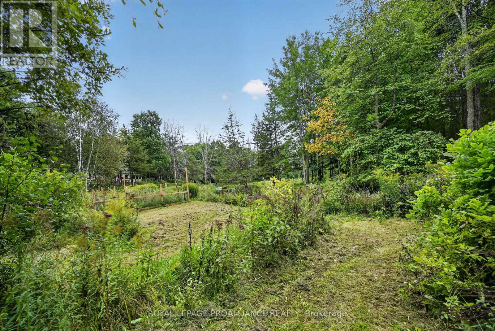 100 COONS ROAD - Image 39