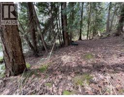 Lot 130 Ling Cod Lane, Mudge Island, BC V0V0V0 Photo 18