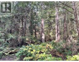 Lot 130 Ling Cod Lane, Mudge Island, BC V0V0V0 Photo 7