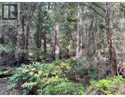 Lot 130 Ling Cod Lane, Mudge Island, BC V0V0V0 Photo 6