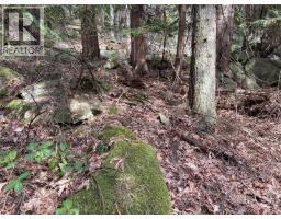 Lot 130 Ling Cod Lane, Mudge Island, BC V0V0V0 Photo 13