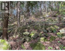 Lot 130 Ling Cod Lane, Mudge Island, BC V0V0V0 Photo 10