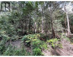 Lot 130 Ling Cod Lane, Mudge Island, BC V0V0V0 Photo 9