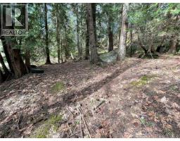 Lot 130 Ling Cod Lane, Mudge Island, BC V0V0V0 Photo 19