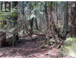 Lot 130 Ling Cod Lane, Mudge Island, BC V0V0V0 Photo 14