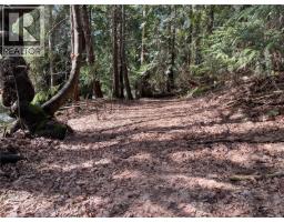 Lot 130 Ling Cod Lane, Mudge Island, BC V0V0V0 Photo 15