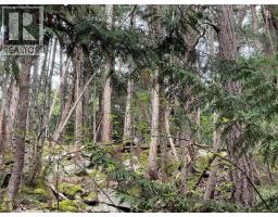Lot 130 Ling Cod Lane, Mudge Island, BC V0V0V0 Photo 16