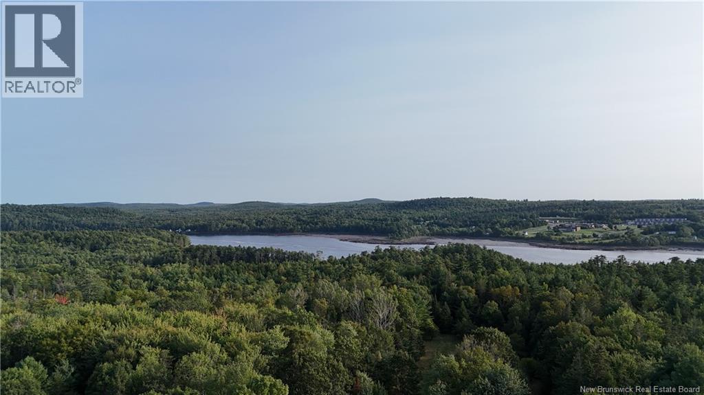 399 Ledge Road - 38