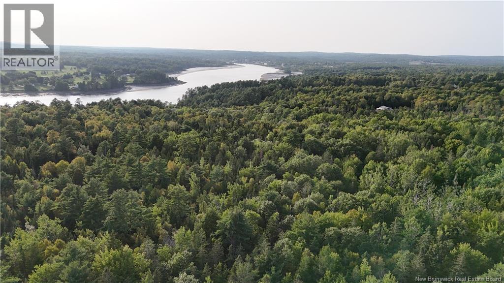 399 Ledge Road - Image 43