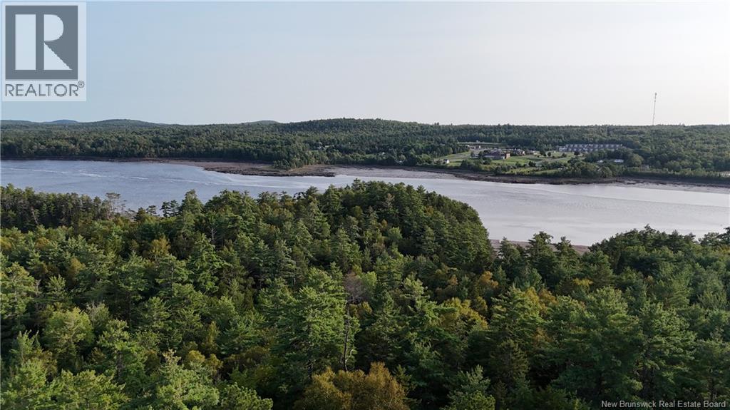 399 Ledge Road - 44