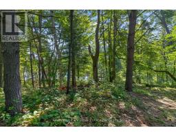 1627 Houseys Rapids Road, Gravenhurst, ON P1P1R3 Photo 17