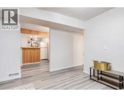 239 2 Street E, Brooks, AB T1R0G8 Photo 42