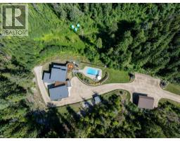 1917 Mt Mcpherson Drive, Revelstoke, BC V0E2S0 Photo 48