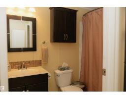 254 49231 Rr80, Rural Brazeau County, AB T7A1L7 Photo 15