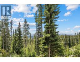2pc Bathroom - 4879a Snowpines Road, Big White, BC V1P1P3 Photo 14