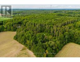90 14 Concession E, Tiny, ON L9M2H7 Photo 47