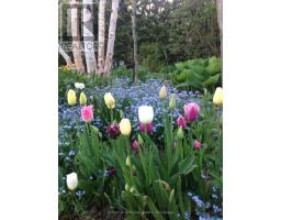 114 Clark Street, Blue Mountains, ON N0H1J0 Photo 28
