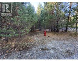 19 Low Ave, Gogama, ON P0M1W0 Photo 12