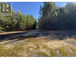19 Low Ave, Gogama, ON P0M1W0 Photo 9