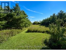 1348 Bruce Road 11, Arran Elderslie, ON N0G2N0 Photo 35