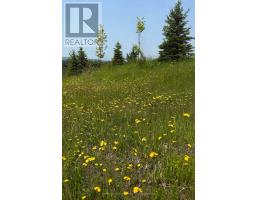958465 7 Line E, Mulmur, ON L9V0M9 Photo 17