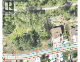 1018 Silvertip Road, Rossland, BC V0G1Y0 Photo 7