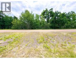 53 97 Avenue, Grande Cache, AB T0E0Y0 Photo 50