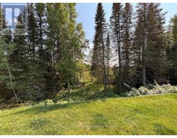 48 Redwing Avenue, Manitouwadge, ON P0T2C0 Photo 36
