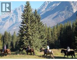 4227-4233 Beaverfoot Forest Service Road, Golden, BC V0A1H0 Photo 25