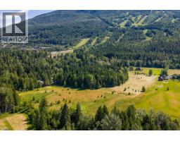 3309 Catherwood Road, Revelstoke, BC V0E2S1 Photo 36