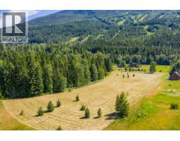 3309 Catherwood Road, Revelstoke, BC V0E2S1 Photo 49