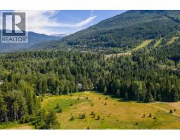 3309 Catherwood Road, Revelstoke, BC V0E2S1 Photo 34