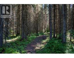 4227-4233 Beaverfoot Forest Service Road, Golden, BC V0A1H0 Photo 17