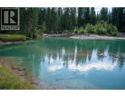 4227-4233 Beaverfoot Forest Service Road, Golden, BC V0A1H0 Photo 21