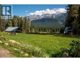 4227-4233 Beaverfoot Forest Service Road, Golden, BC V0A1H0 Photo 23