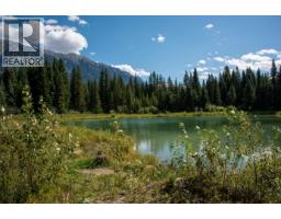 4227-4233 Beaverfoot Forest Service Road, Golden, BC V0A1H0 Photo 19