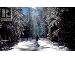 4227-4233 Beaverfoot Forest Service Road, Golden, BC V0A1H0 Photo 27