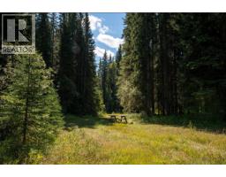 4227-4233 Beaverfoot Forest Service Road, Golden, BC V0A1H0 Photo 22